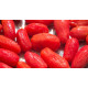 Pomodori Pelati 2550g Granoro